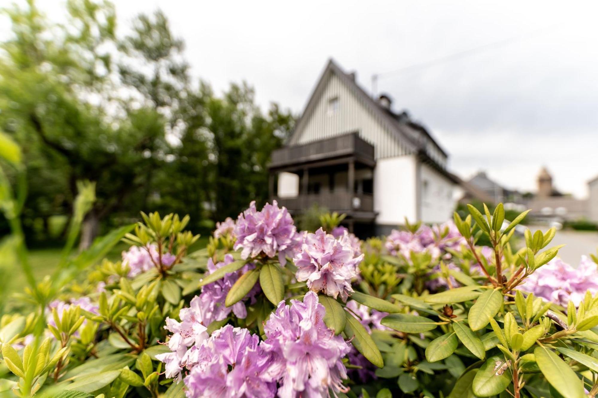 Ferienwohnung Haus An Der Lenne 레네슈타트 외부 사진